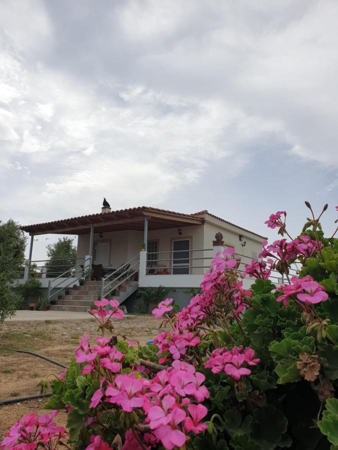 A Wonderful Relaxing Place. Nice View. Romantic Sunset Douneika  Bagian luar foto